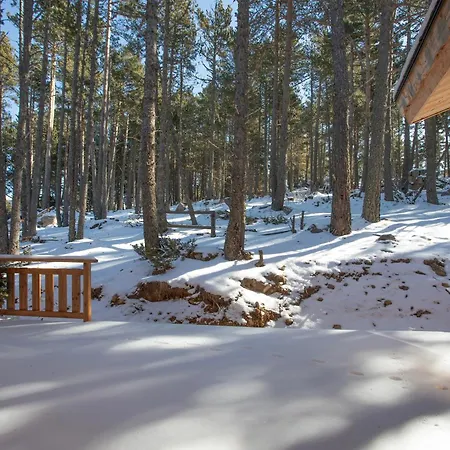 Les Flocons Dores - Sur Le Chemin Des Pistes Chalet