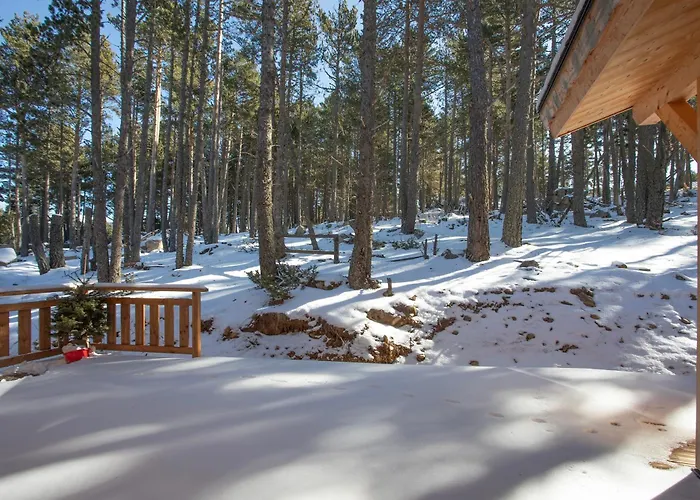 Les Flocons Dorés - Sur Le Chemin Des Pistes Chalet